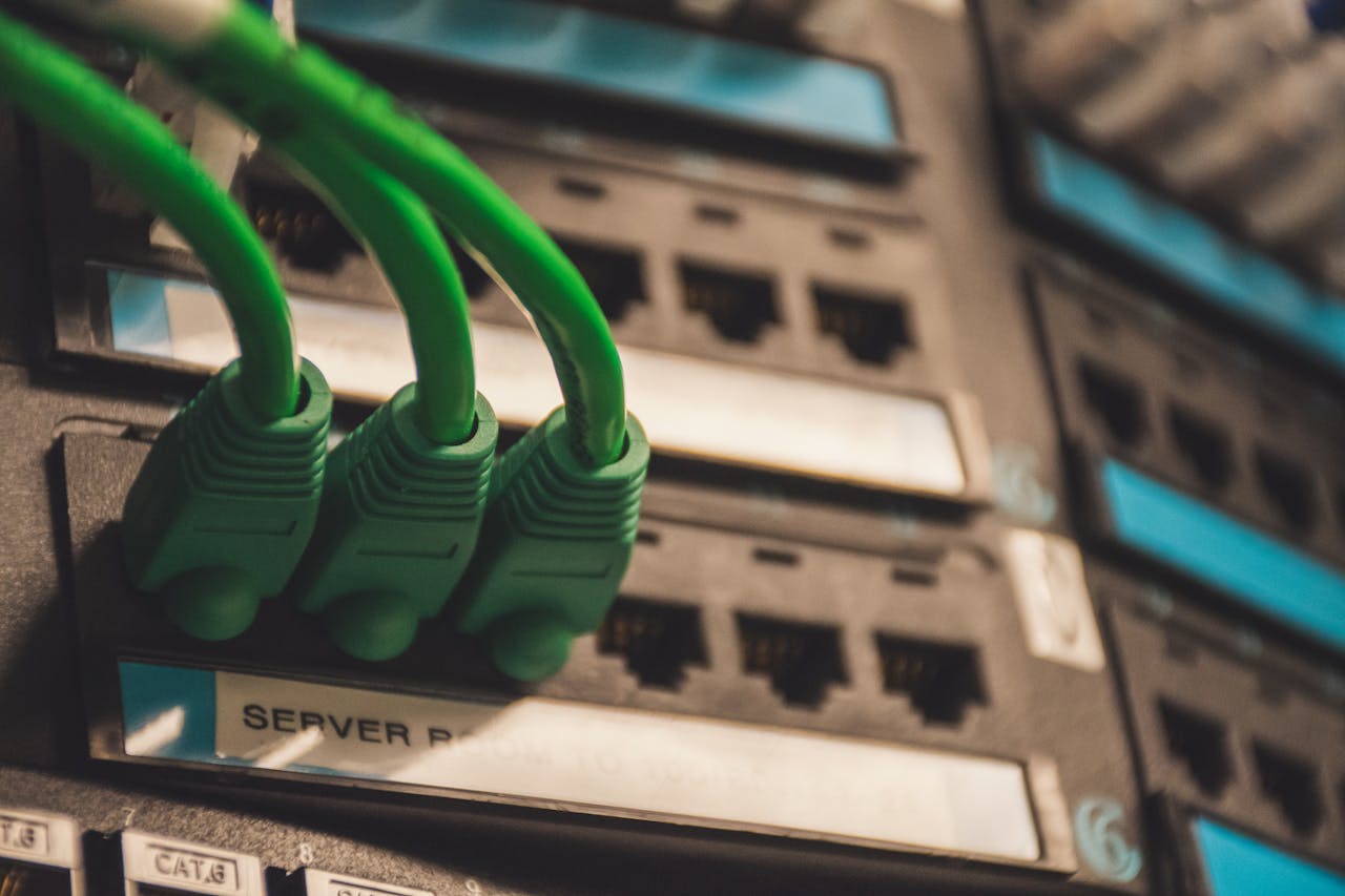 Web Hosting & Domains